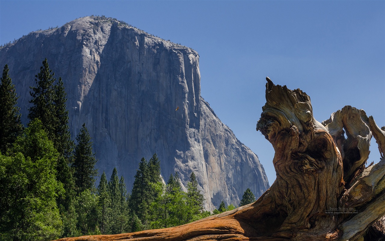 Windows 8 theme, Yosemite National Park HD wallpapers #10 - 1280x800