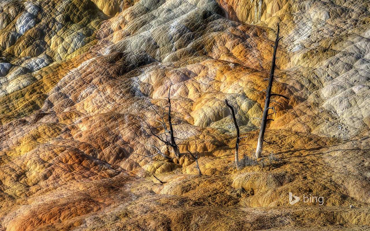 Oktober 2014 Bing Landschaft HD Wallpaper #17 - 1280x800