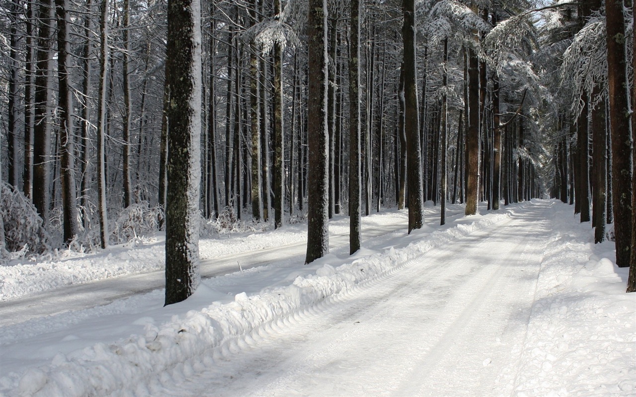 冬天的雪景，山，湖，树木，道路 高清壁纸3 - 1280x800