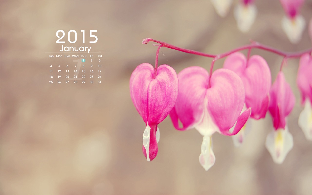 January 2015 calendar wallpaper (1) #9 - 1280x800