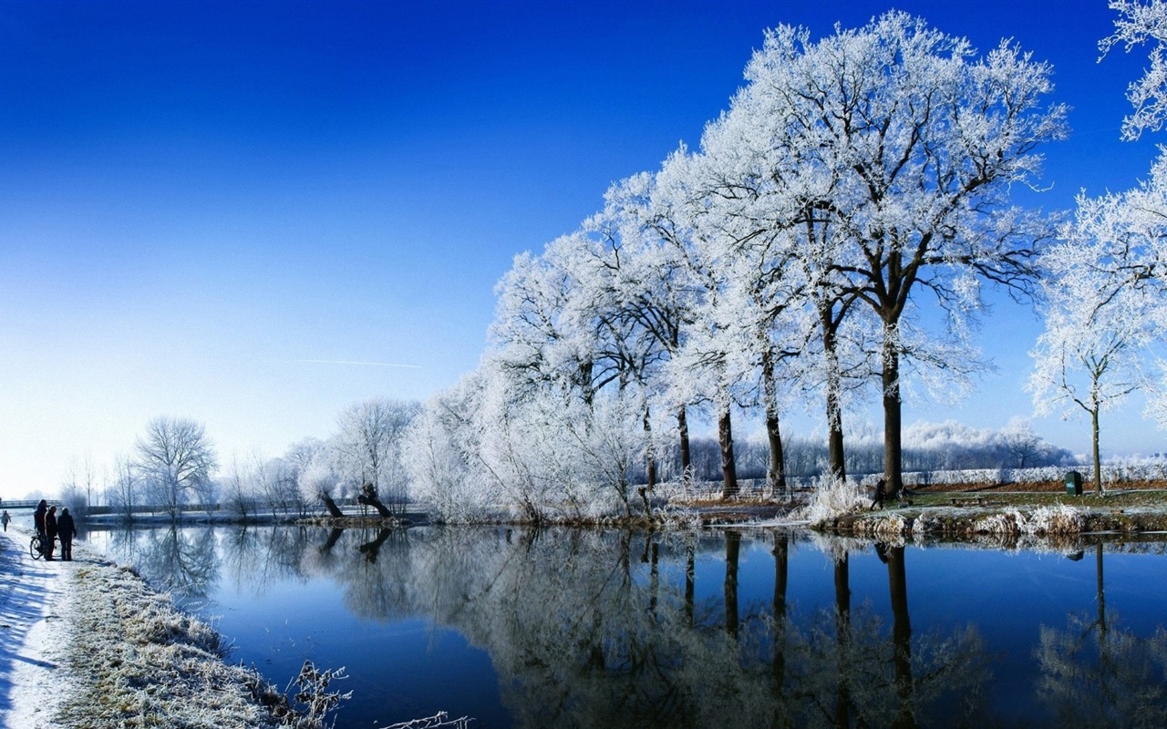 Zimní sníh Nádherná příroda HD tapety na plochu #1 - 1280x800