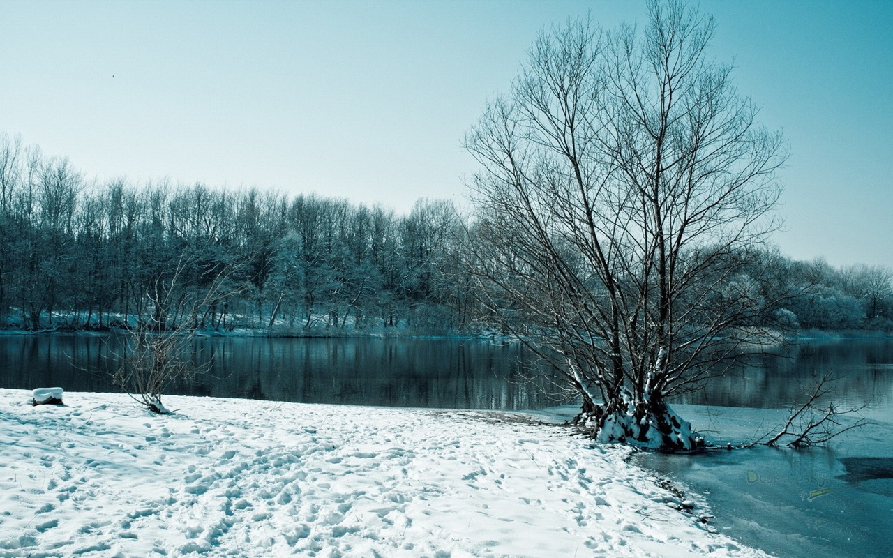 冬の雪の美しい風景のHDの壁紙 #6 - 1280x800