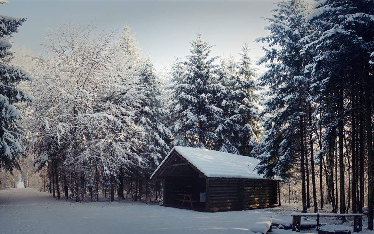 Zimní sníh Nádherná příroda HD tapety na plochu #12 - 1280x800