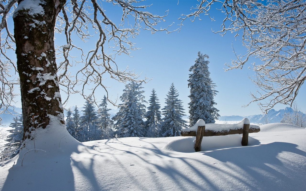 冬の雪の美しい風景のHDの壁紙 #13 - 1280x800