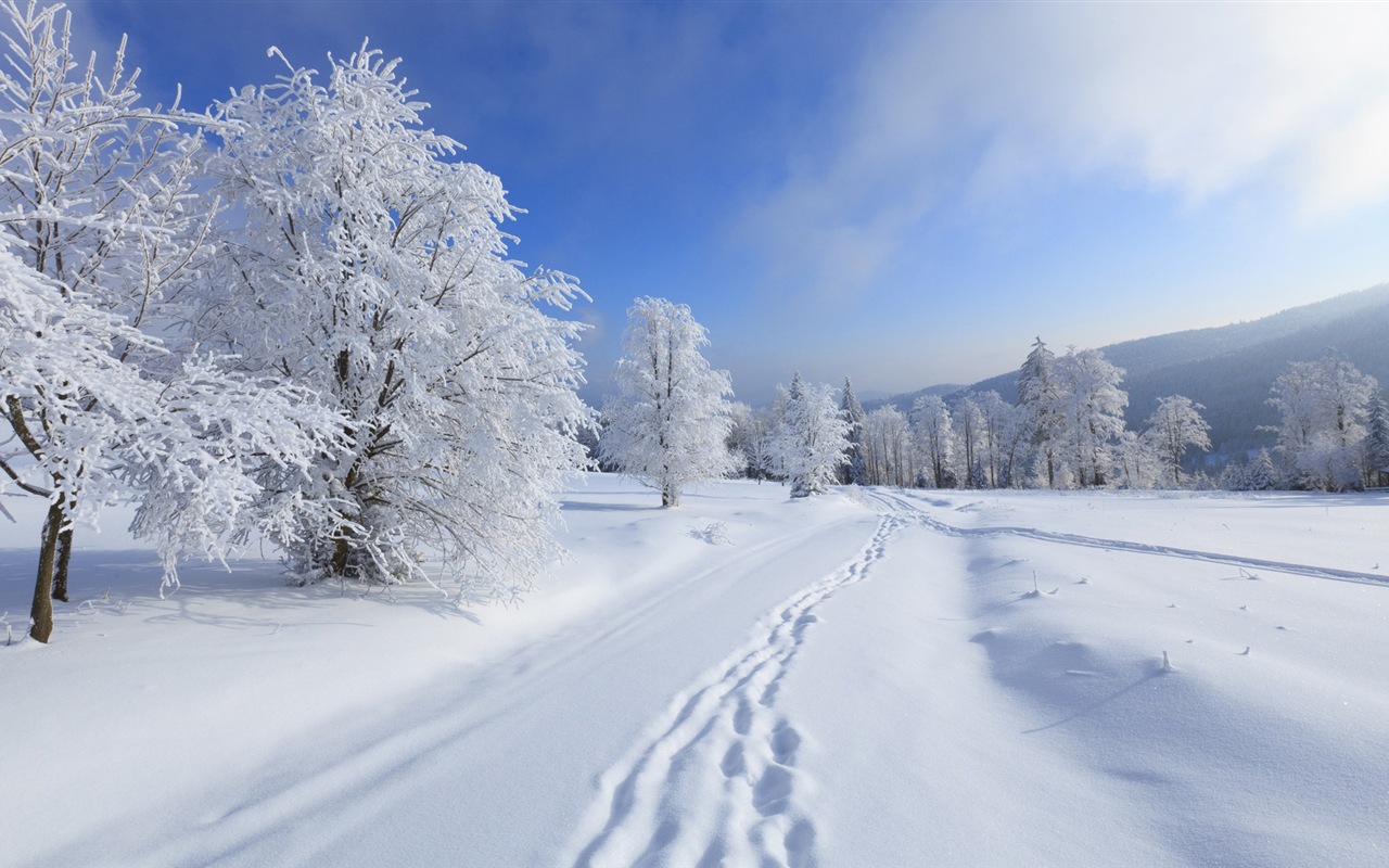 Zimní sníh Nádherná příroda HD tapety na plochu #14 - 1280x800