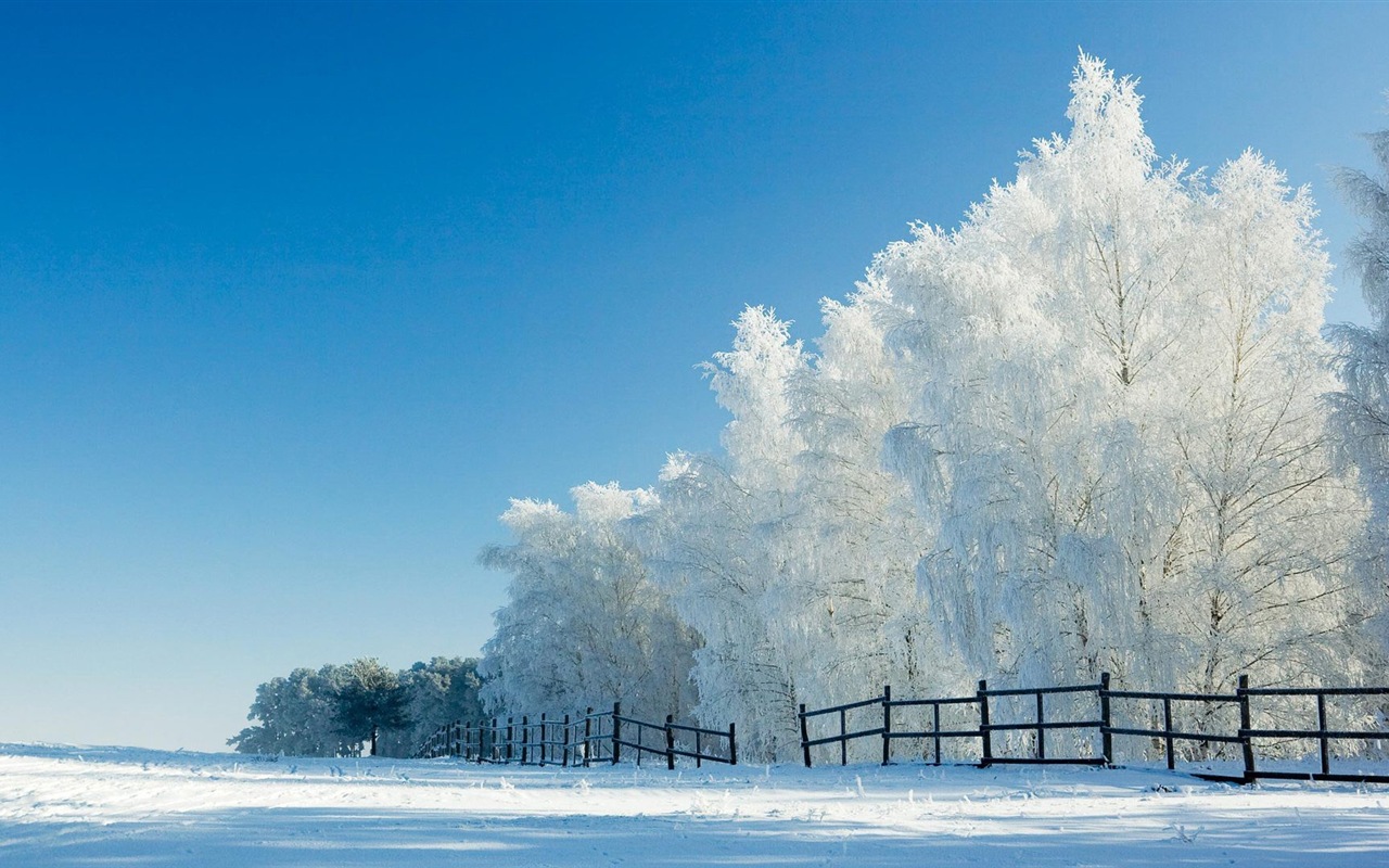 冬の雪の美しい風景のHDの壁紙 #15 - 1280x800