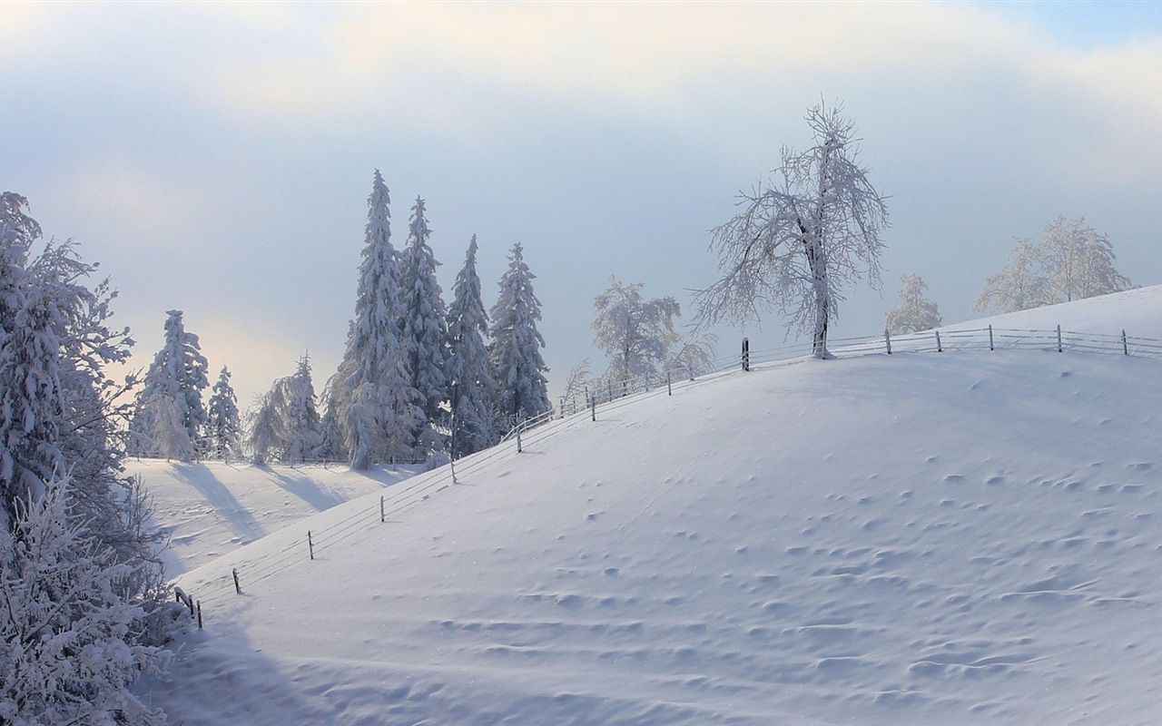 Zimní sníh Nádherná příroda HD tapety na plochu #16 - 1280x800