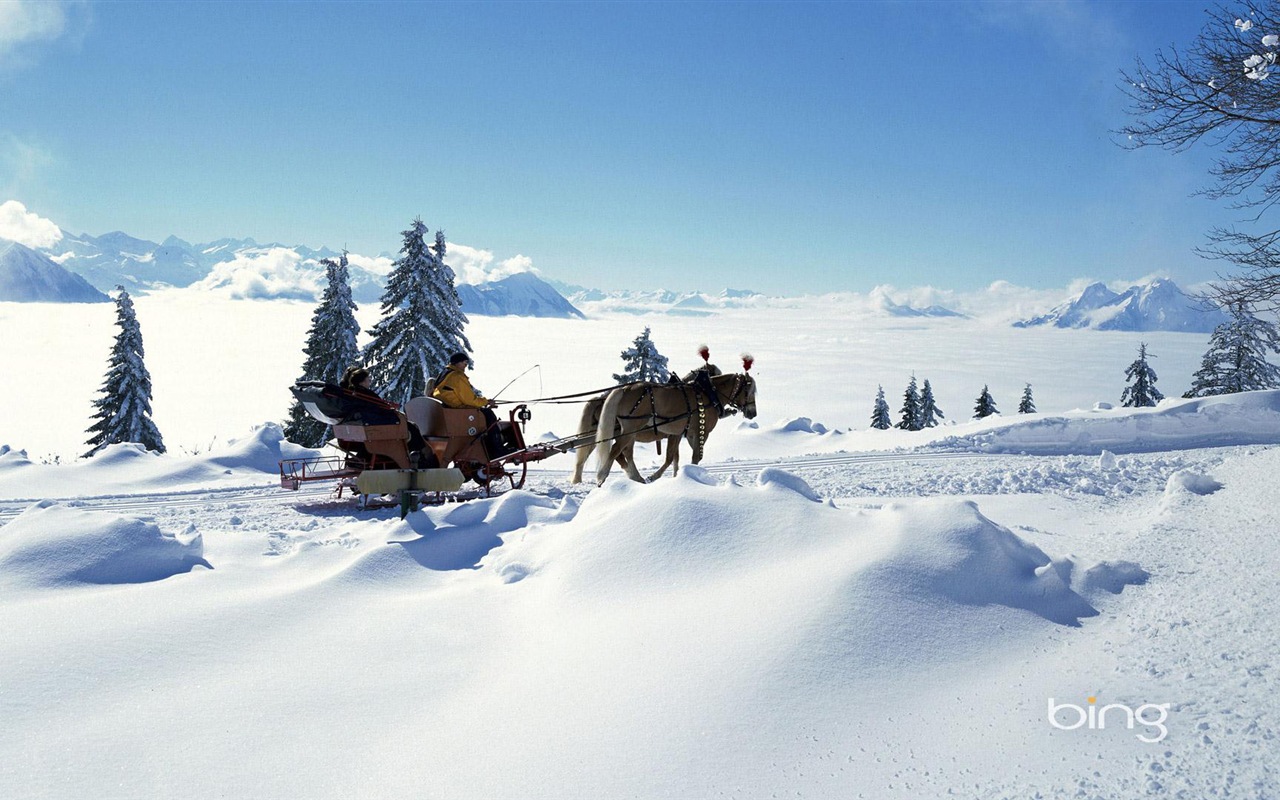 冬の雪の美しい風景のHDの壁紙 #17 - 1280x800