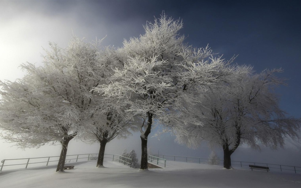 Zimní sníh Nádherná příroda HD tapety na plochu #18 - 1280x800