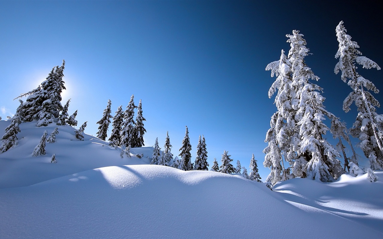 冬の雪の美しい風景のHDの壁紙 #19 - 1280x800