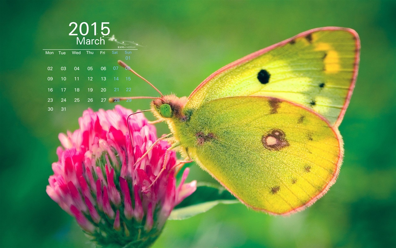 Март 2015 Календарь обои (1) #1 - 1280x800