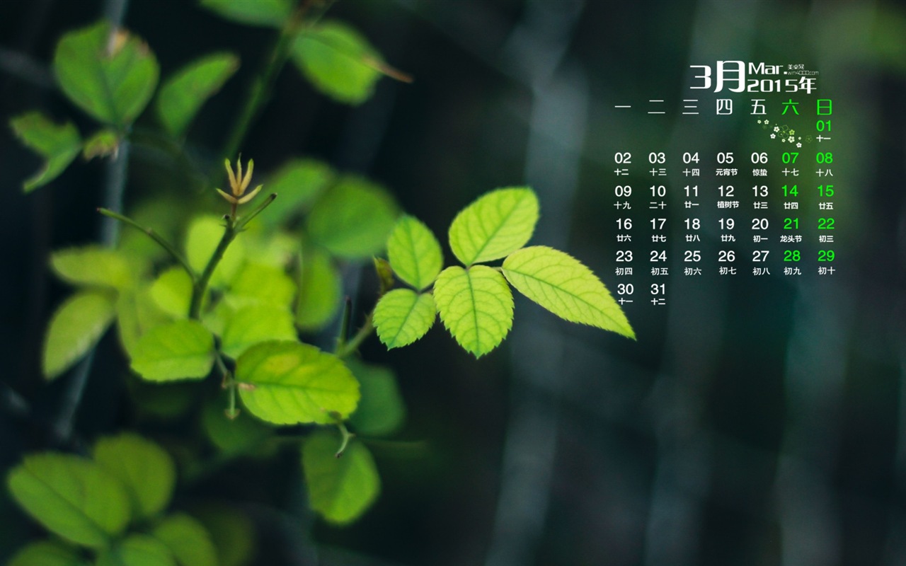 März 2015 Kalender Tapete (1) #19 - 1280x800