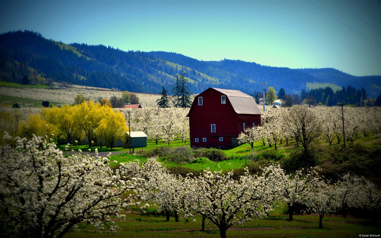Rural scenery, Windows 8 HD wallpapers #13 - 1280x800