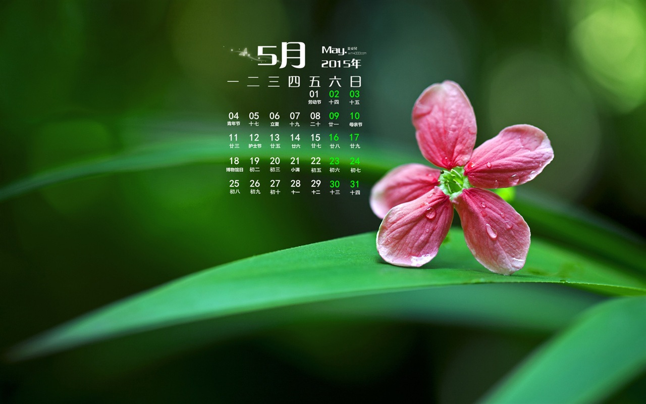 Mai 2015 calendar fond d'écran (1) #8 - 1280x800