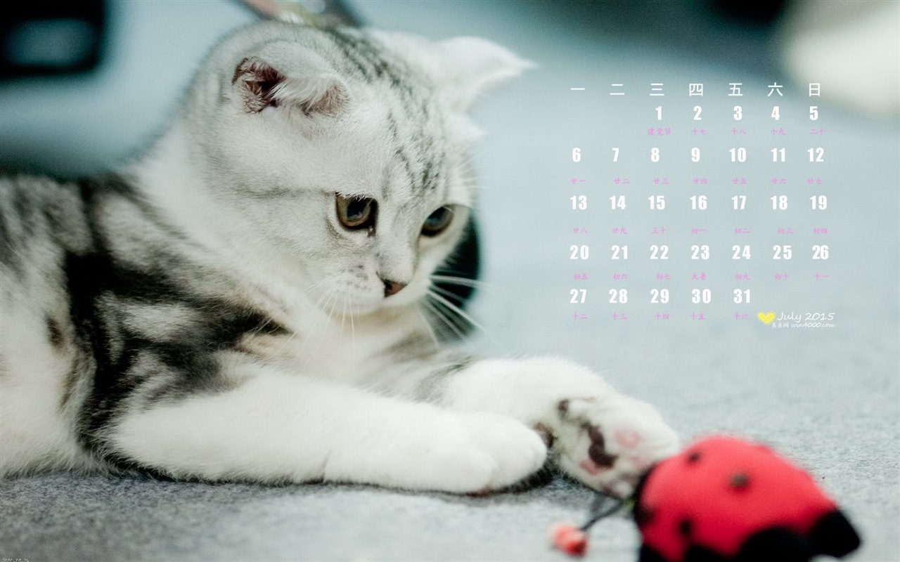 Juillet 2015 papier peint de calendrier (1) #11 - 1280x800