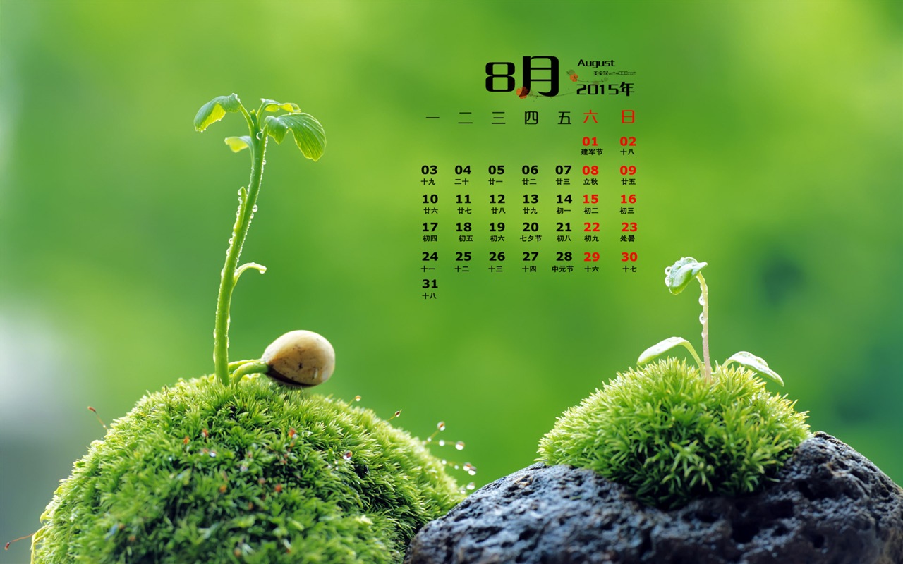 08. 2015 kalendář tapety (1) #16 - 1280x800