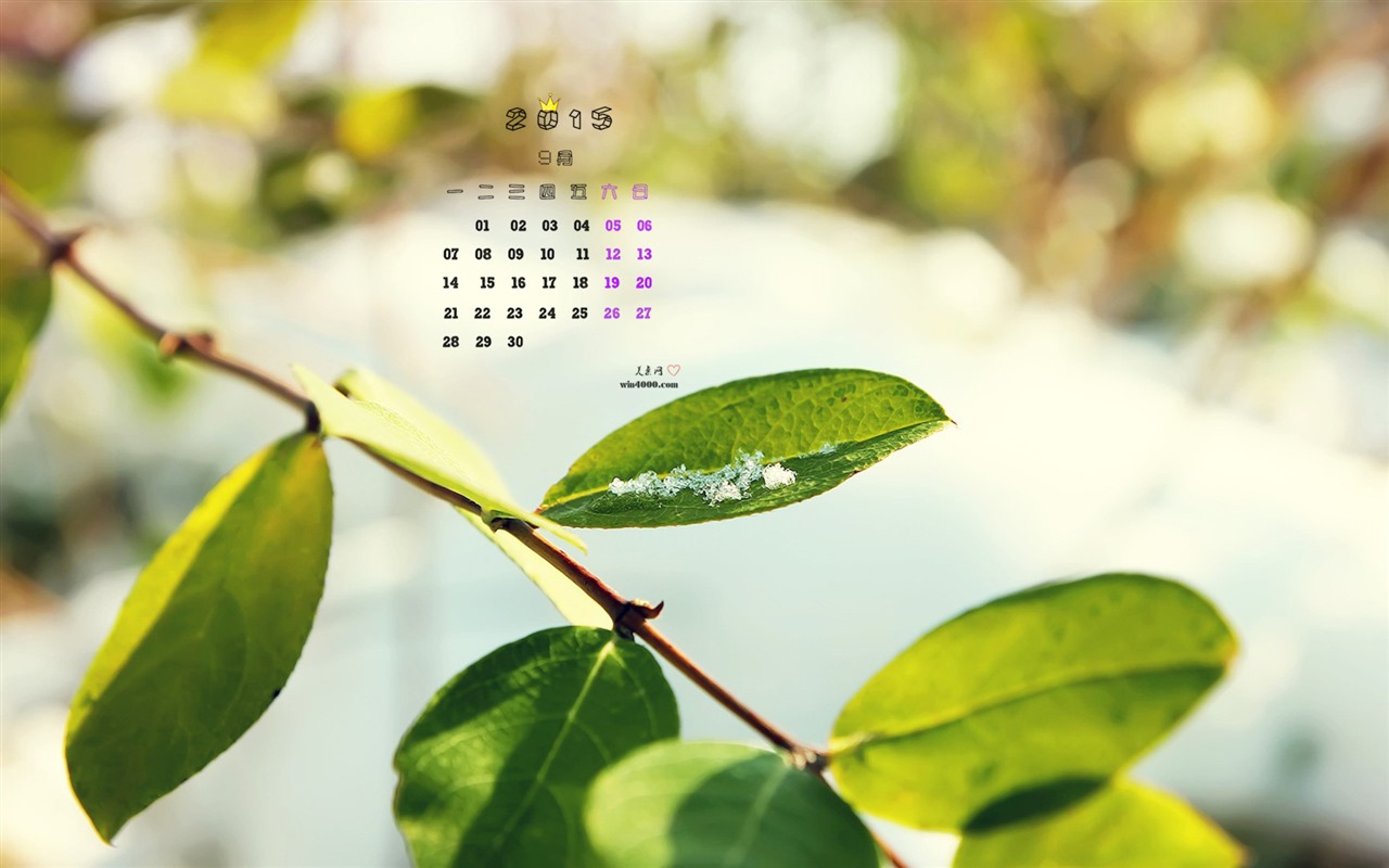 September 2015 Kalender Wallpaper (1) #9 - 1280x800