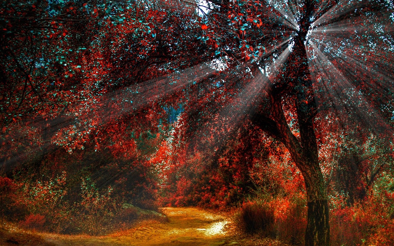 Los árboles, montañas, agua, salida del sol y puesta del sol, fondos de pantalla de alta definición #19 - 1280x800