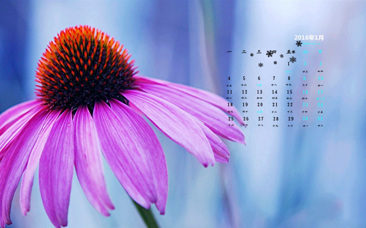 January 2016 calendar wallpaper (2) #5 - 1280x800