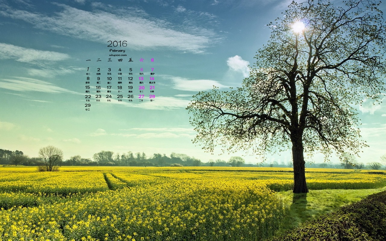 February 2016 Calendar wallpaper (1) #5 - 1280x800