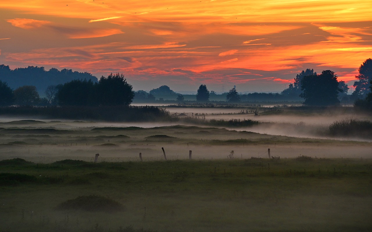 Juin 2016 fonds d'écran Bing thème HD (2) #4 - 1280x800