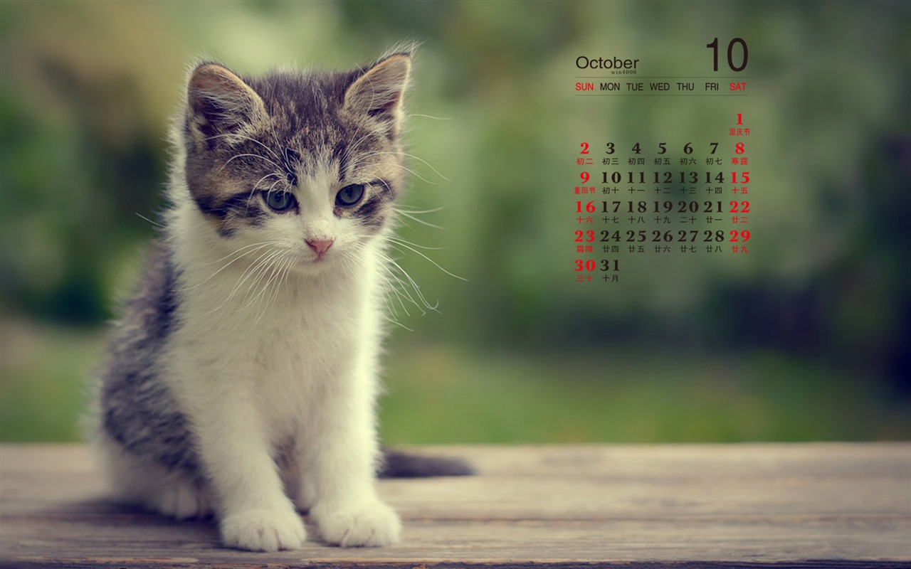 De octubre de el año 2016 fondo de pantalla de calendario (1) #8 - 1280x800