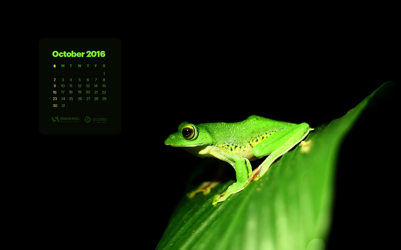 De octubre de el año 2016 fondo de pantalla de calendario (2) #12 - 1280x800