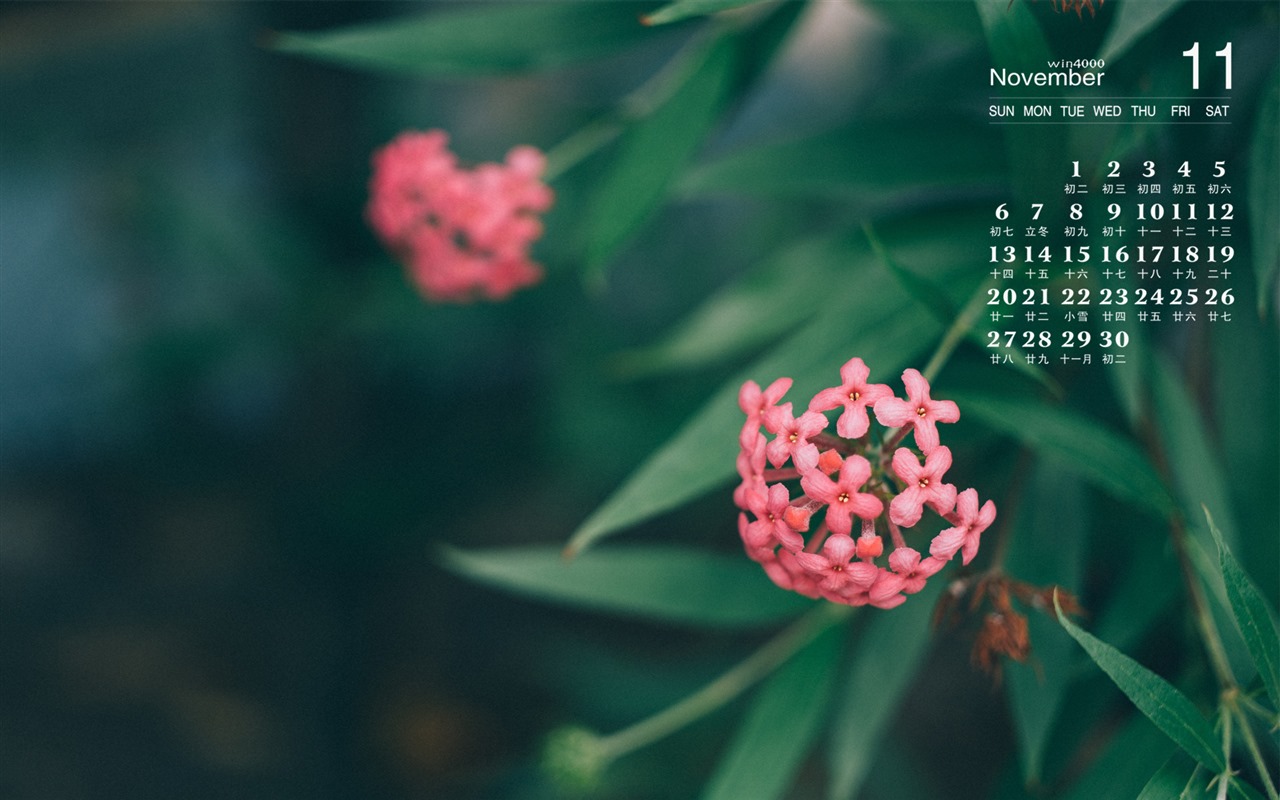 Fondo de escritorio del calendario de noviembre de 2016 (1) #2 - 1280x800