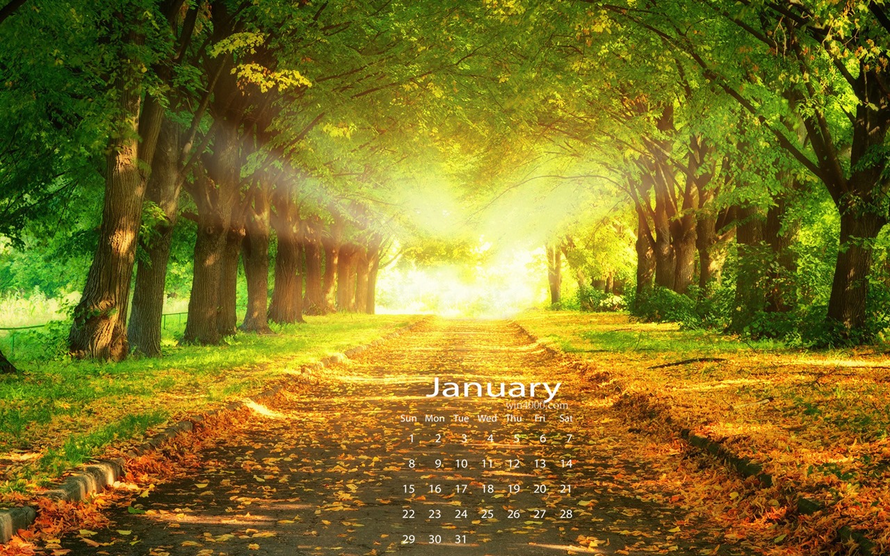 Januar 2017 Kalender Hintergrund (1) #2 - 1280x800