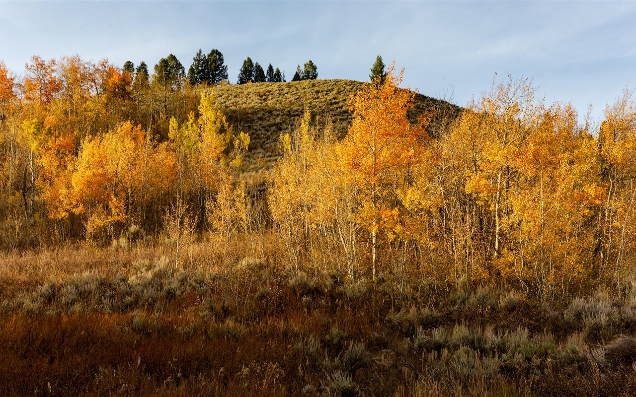 USA Grand Teton národní park přírodní krajiny HD tapety #14 - 1280x800