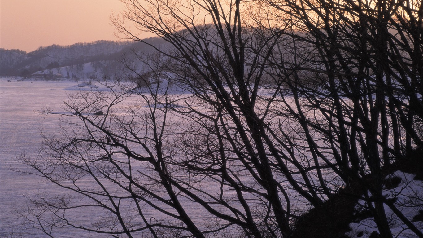 forêt, la neige fond d'écran (2) #8 - 1366x768