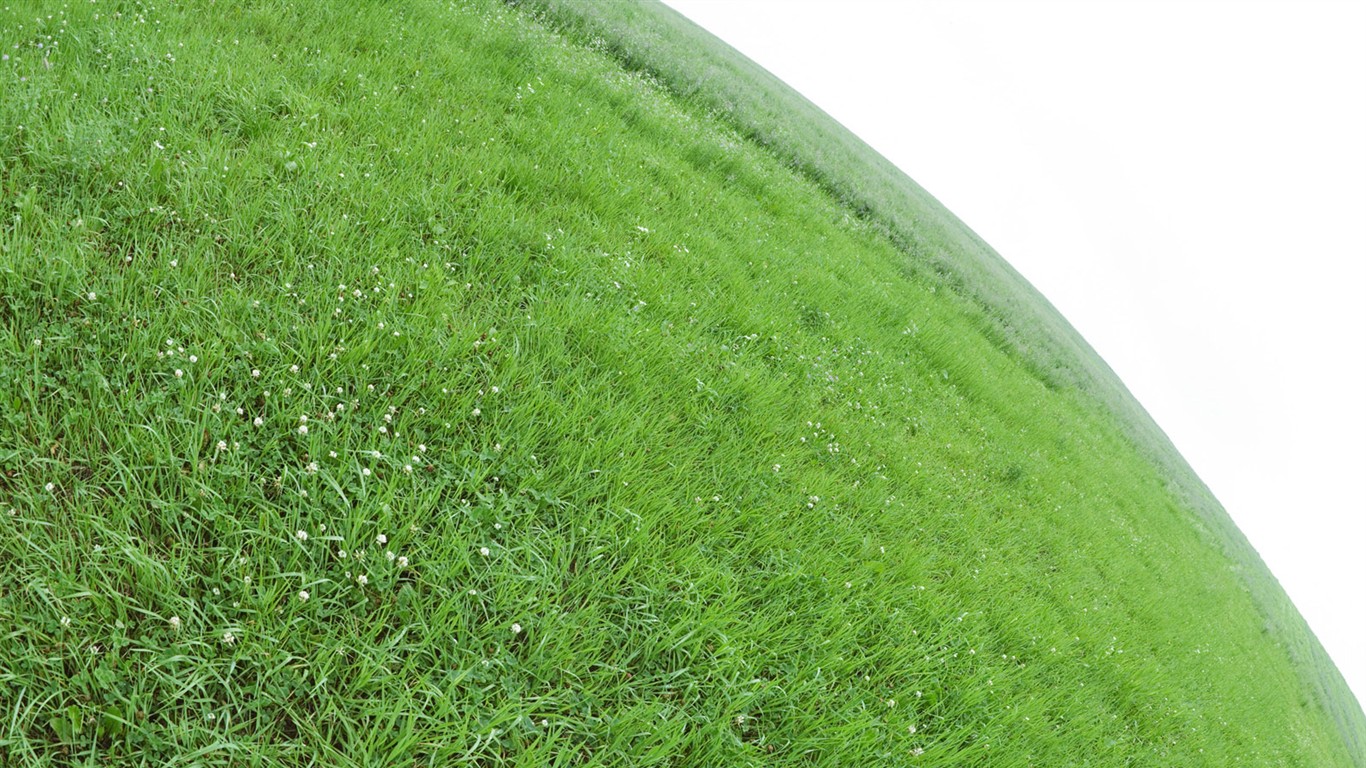 Green Grass обои (1) #12 - 1366x768