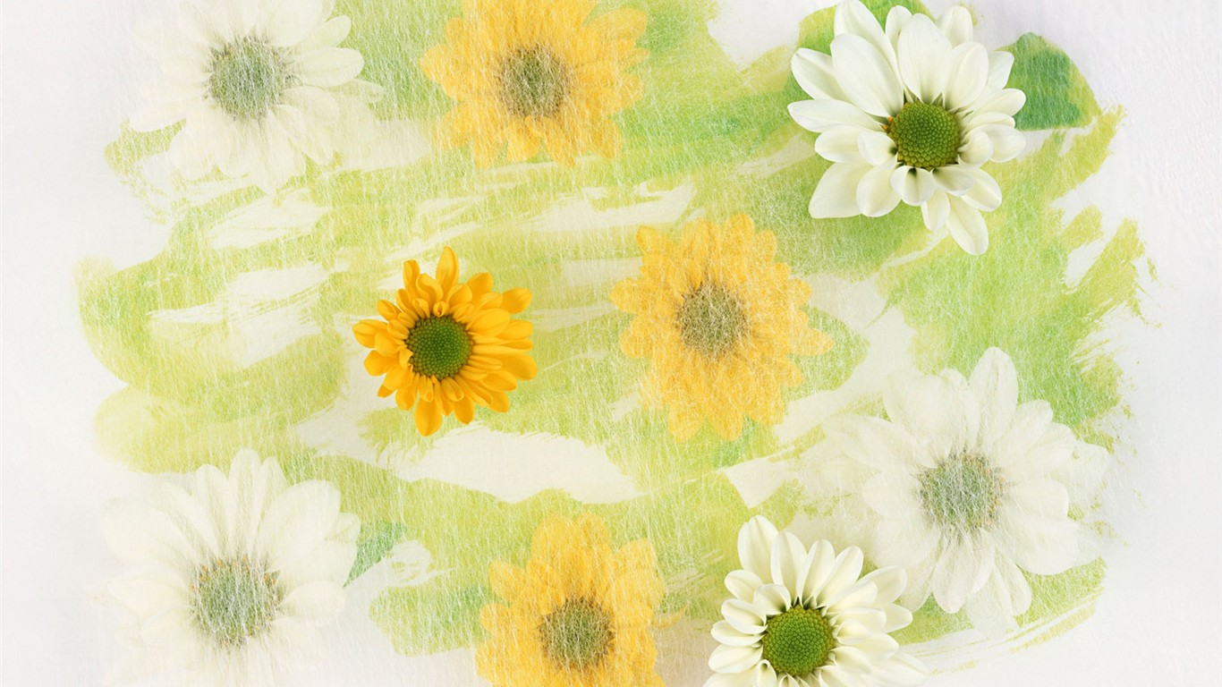 Květ Tapety na plochu výběr (1) #39 - 1366x768