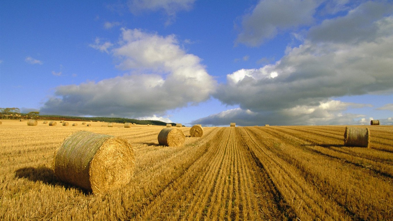 Schöne Landschaft Tapeten Alben #18 - 1366x768