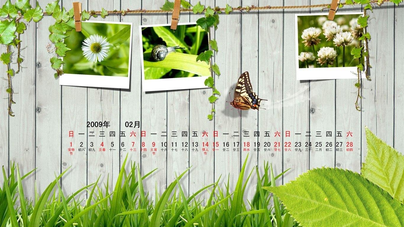 Paperart 09 Jahre im Februar Kalender Wallpaper #10 - 1366x768