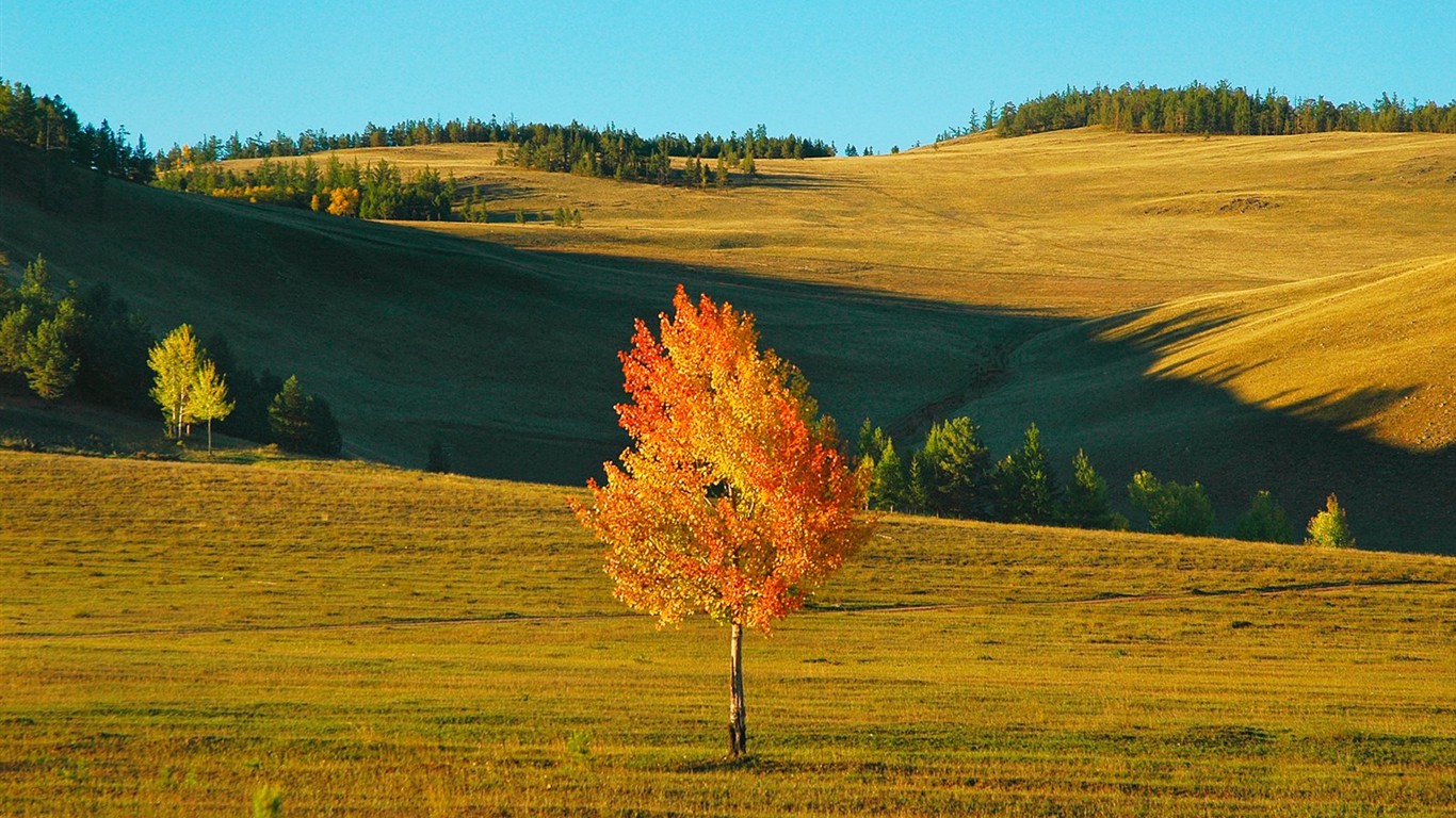 Krásné přírodní scenérie na Sibiři #16 - 1366x768