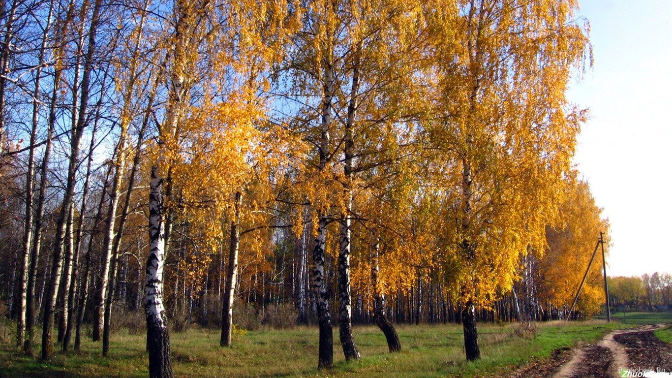 西伯利亚精美自然风光21 - 1366x768