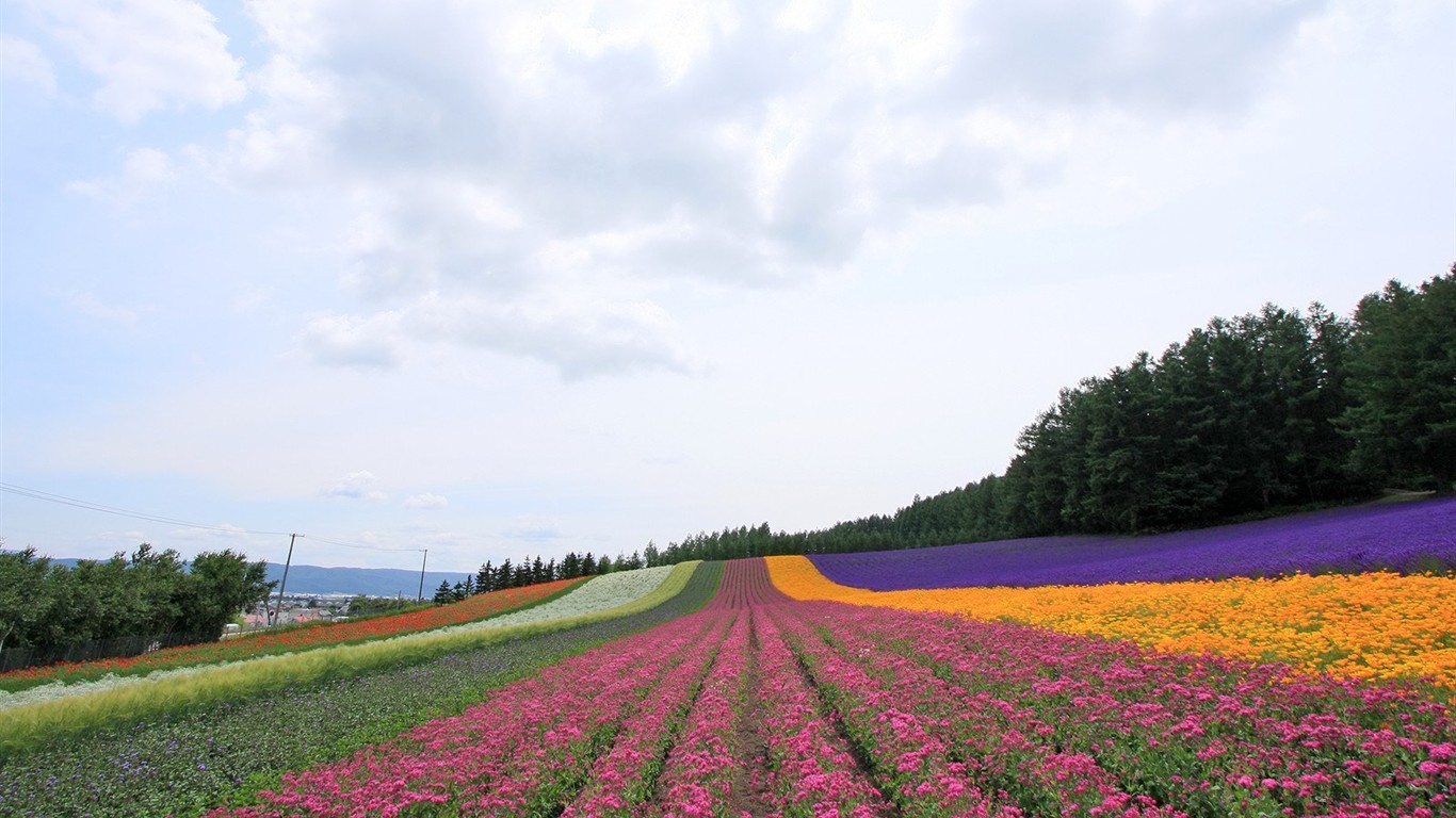 Hokkaido ländlicher Umgebung #19 - 1366x768