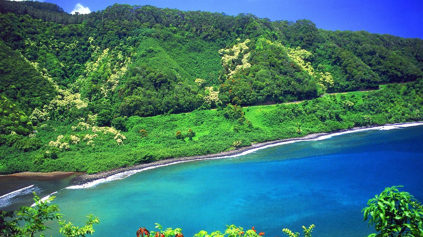 havajské pláži scenérie #6 - 1366x768