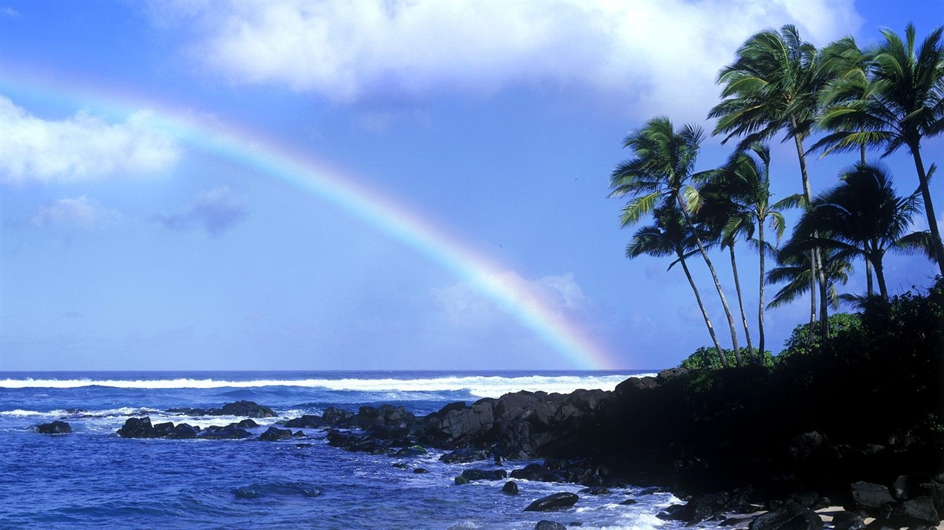 Hawaiian beach scenery #14 - 1366x768