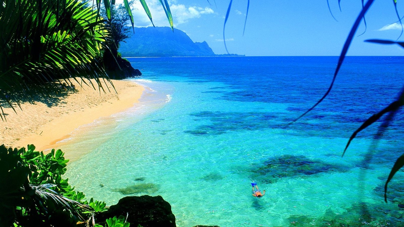 havajské pláži scenérie #18 - 1366x768