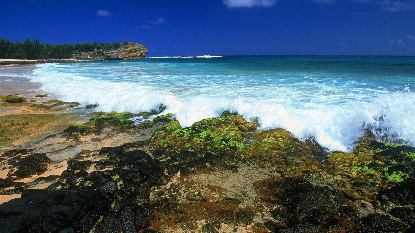 Hawaiian beach scenery #19 - 1366x768