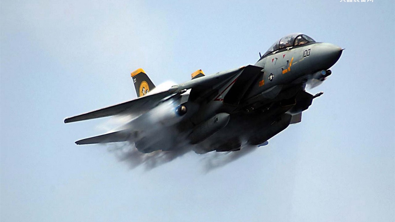 米海軍F14キーTomcatの戦闘機 #1 - 1366x768