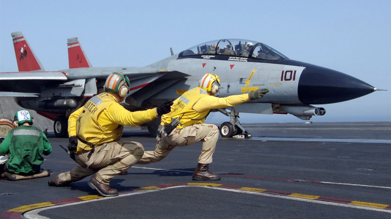 米海軍F14キーTomcatの戦闘機 #2 - 1366x768