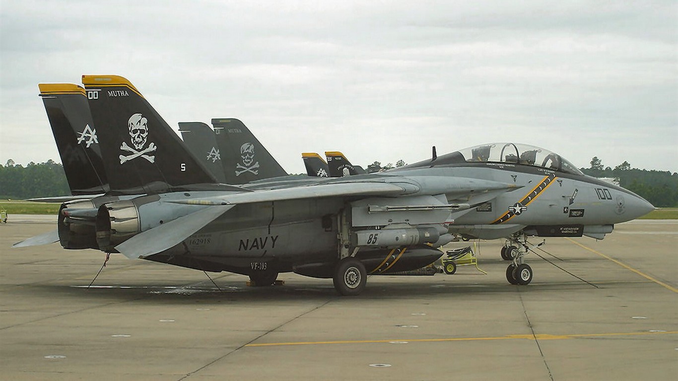 U.S. Navy F14 Tomcat fighter #15 - 1366x768