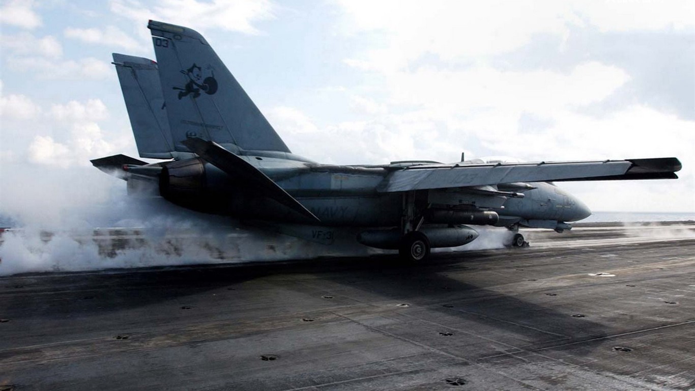 美国海军F14雄猫战斗机16 - 1366x768