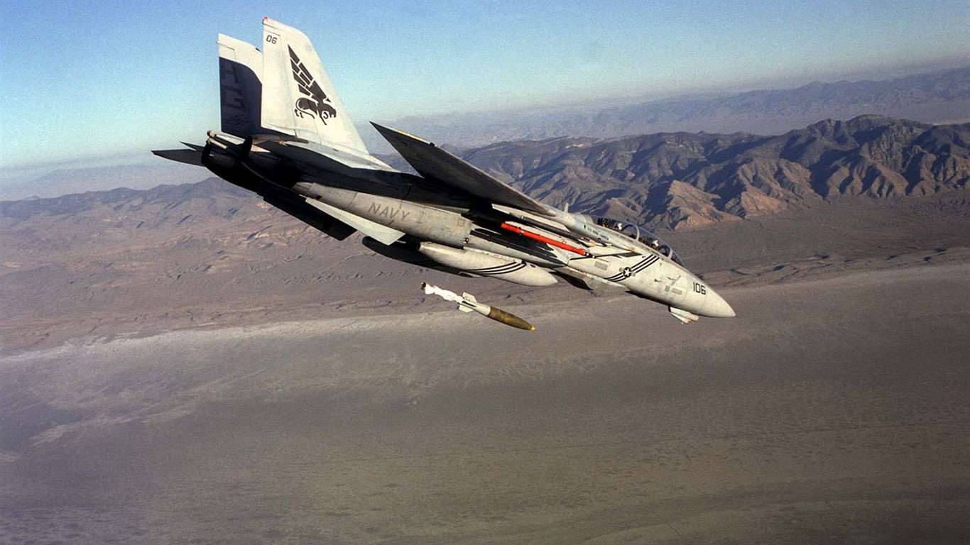 米海軍F14キーTomcatの戦闘機 #36 - 1366x768