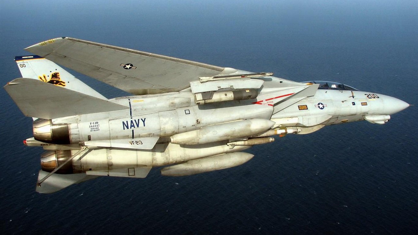 米海軍F14キーTomcatの戦闘機 #37 - 1366x768