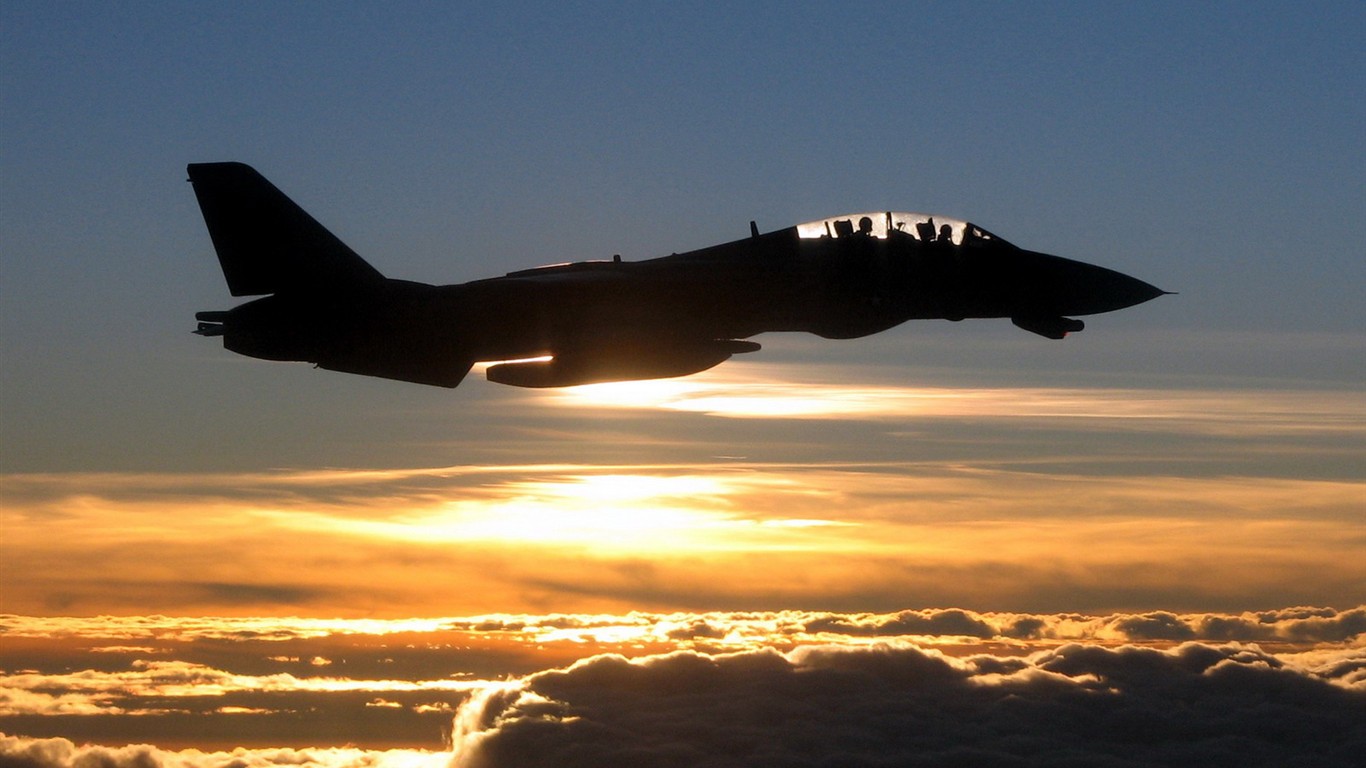 米海軍F14キーTomcatの戦闘機 #39 - 1366x768