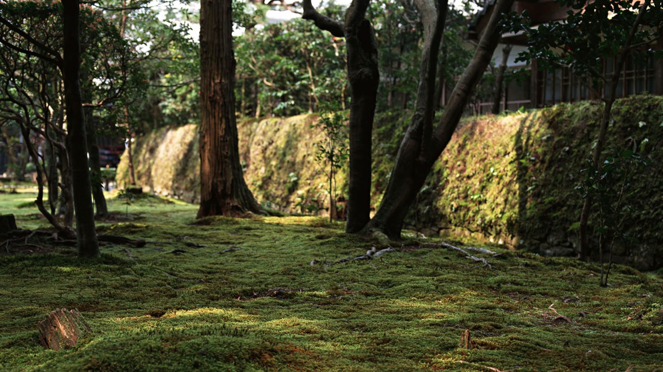 京都、日本、風景壁紙 #23 - 1366x768